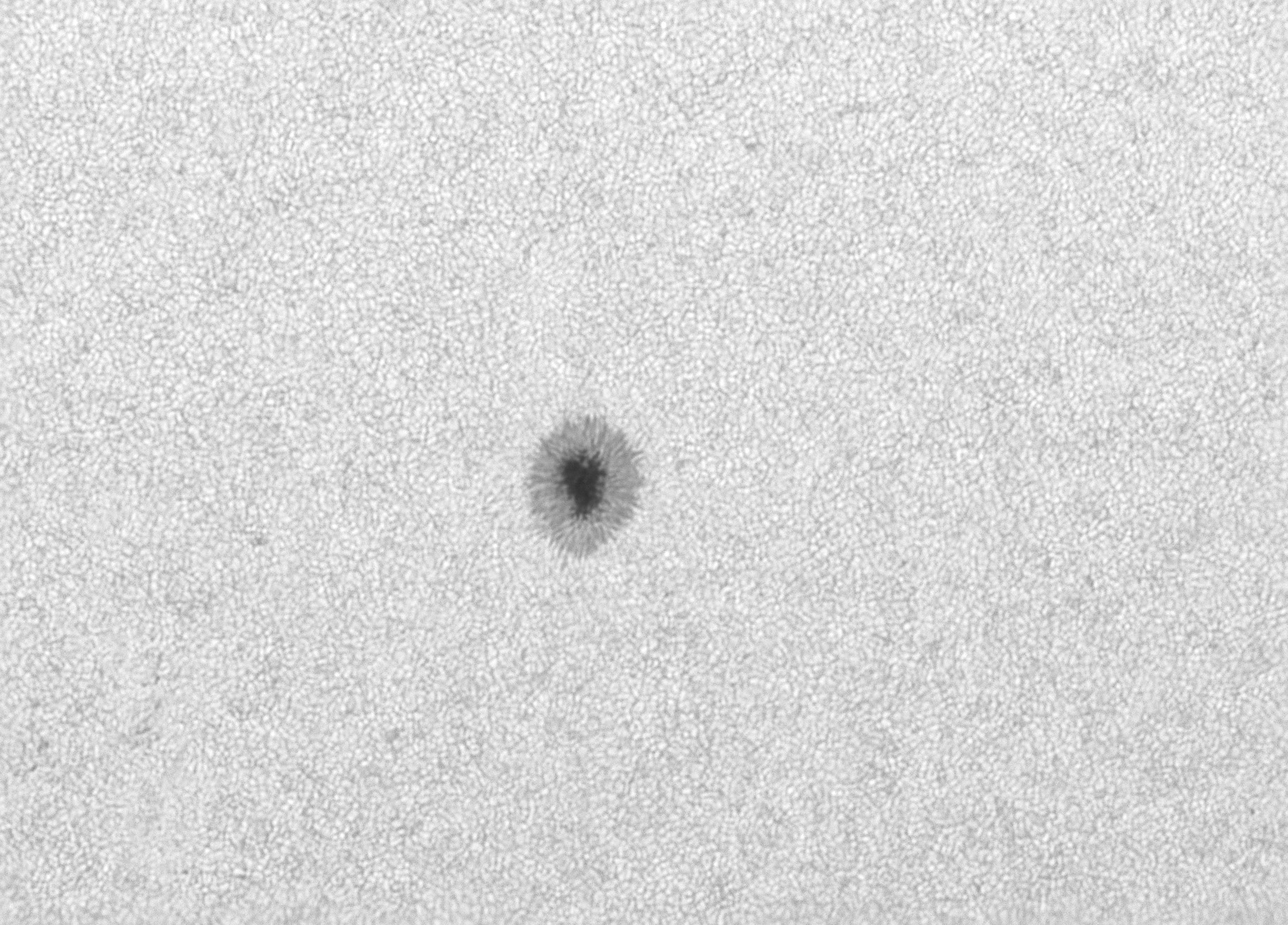 2021-10-24_Sonne-AR2886_LZOS123_4x_ASI183.jpg
