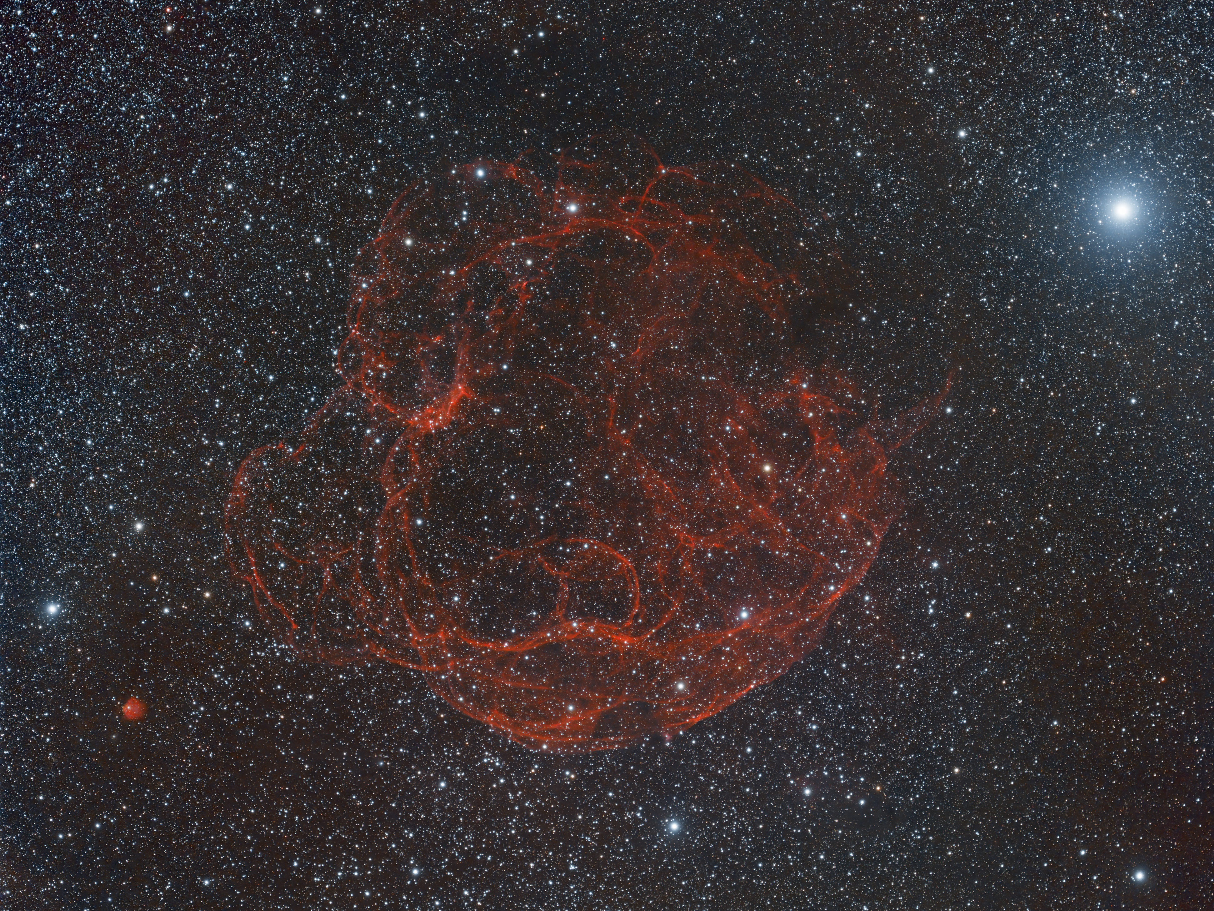 2021_12_25-26 - Simeis147_RGB03.jpg