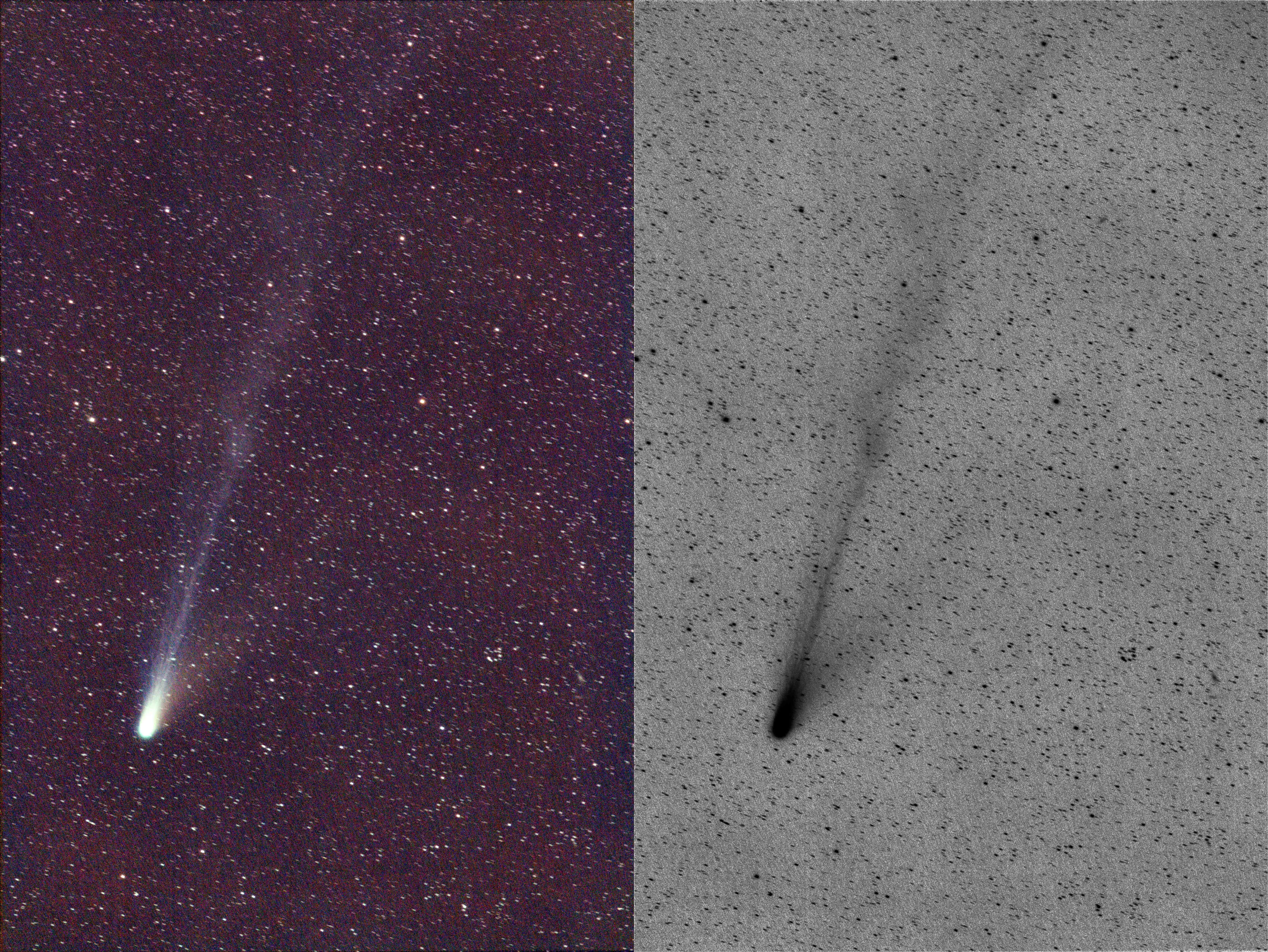 Komet 12P Pons-Brooks 20240328 Collage_komprimiert.jpg