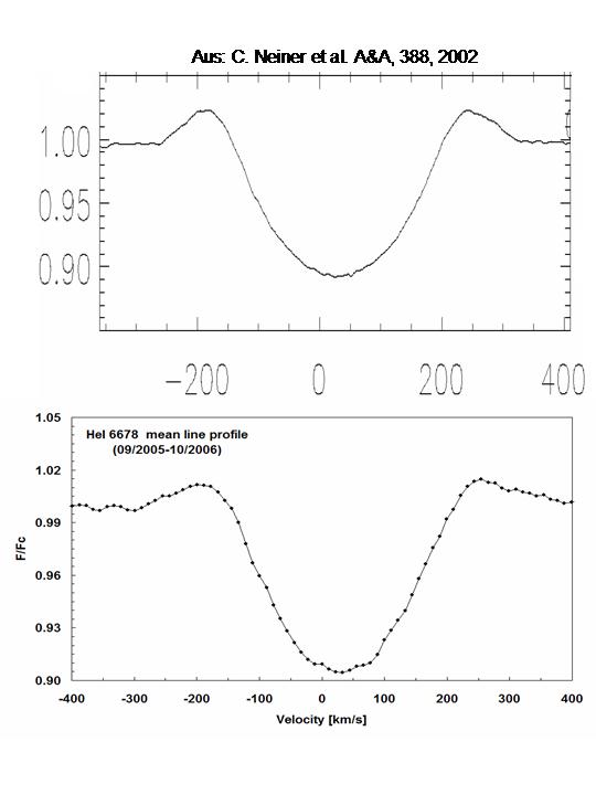 mitlleres Profil.jpg