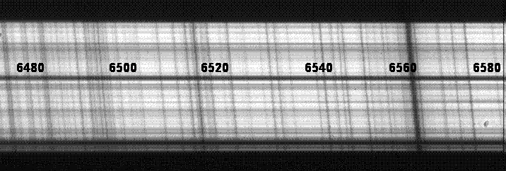 fruehzeitliches Spektrum.gif