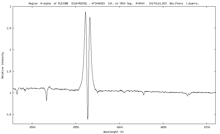 _pleione_20170114_833_J. Guarro.png