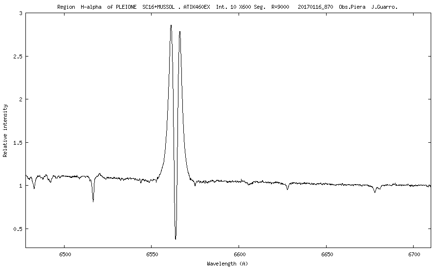 _pleione_20170116_870_J. Guarro.png