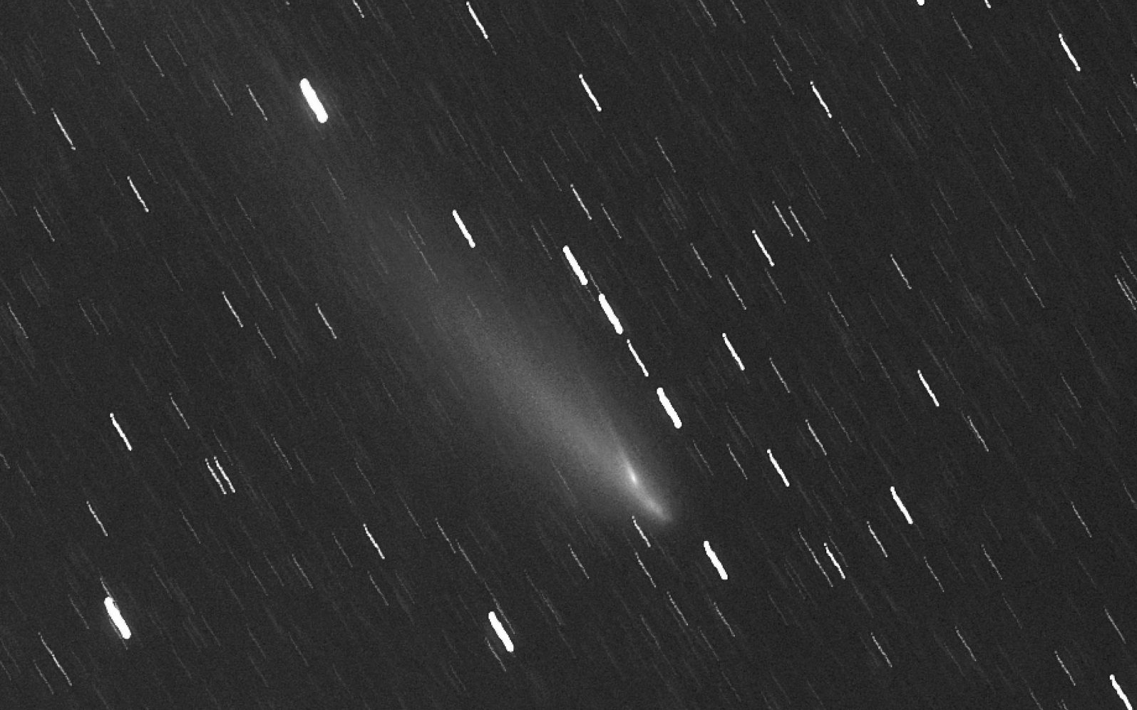 2019y4-0008R_2+20+20 Kopie.jpg