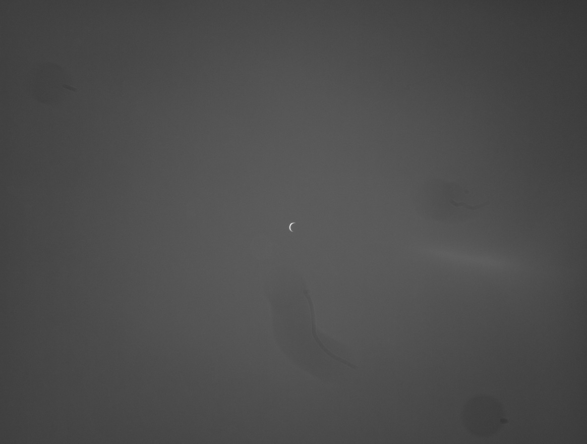 Capture 11_24_30Z_00001.jpg