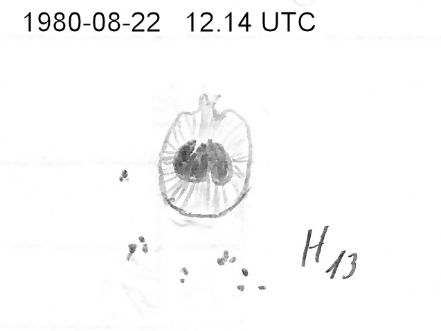 Sunspot19800822_2.png