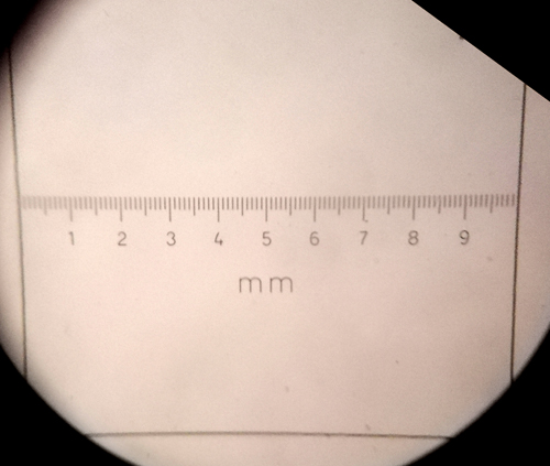 Mikrometerplättchen.jpg