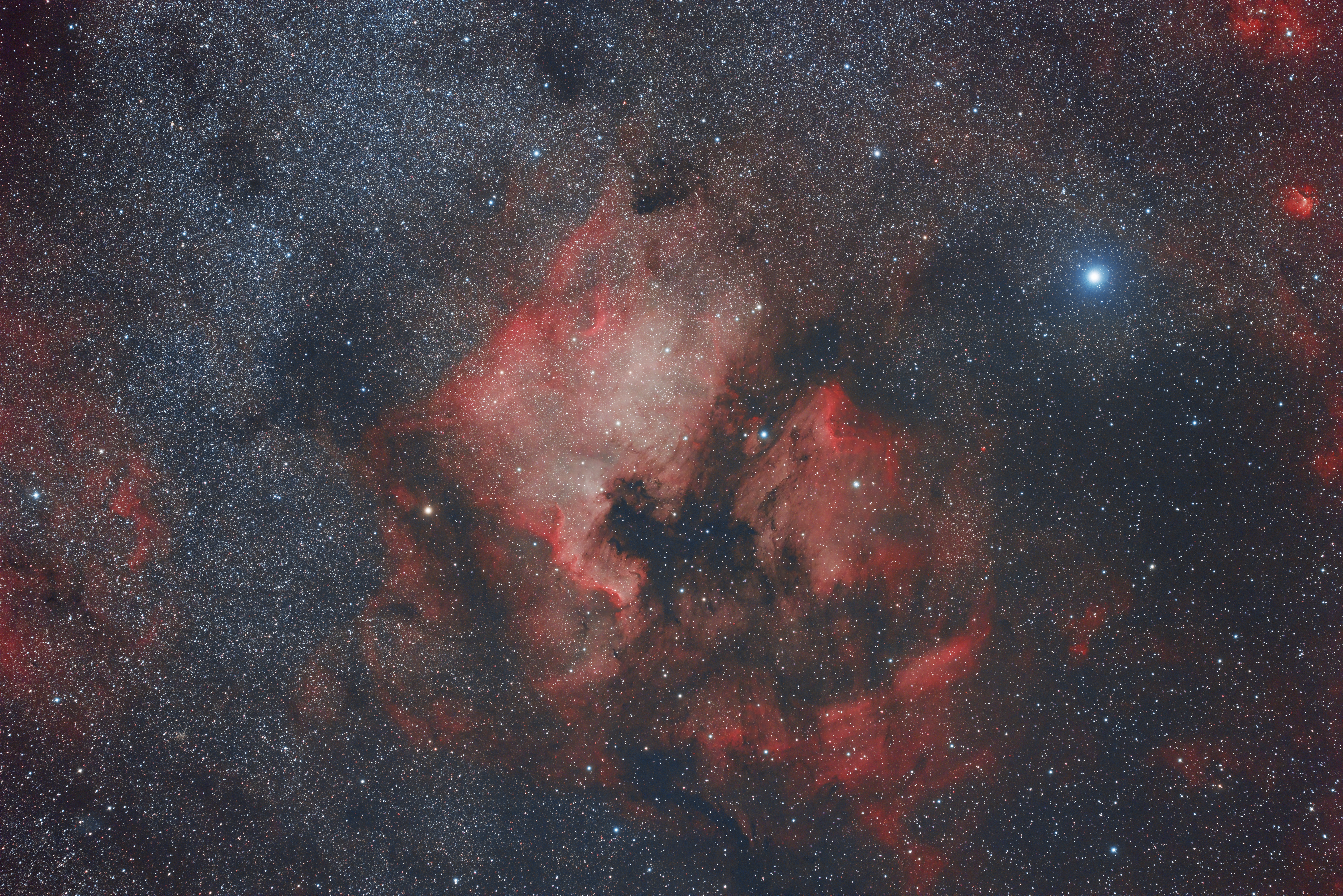 2021_09_02 - Nordamerika und Pelikan.jpg